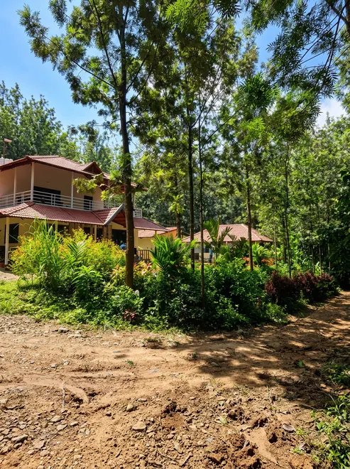 The Silverwood Homestay and its surroundings, Chikmagalur