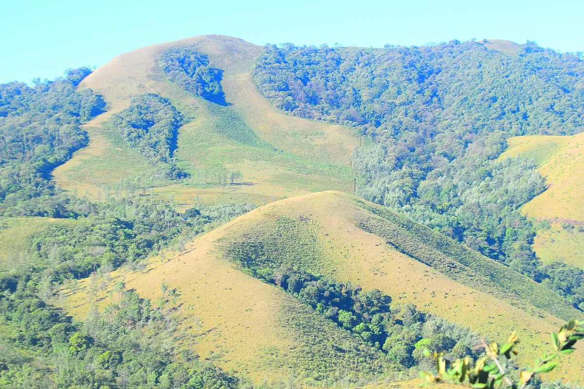 Mullayanagiri Peak